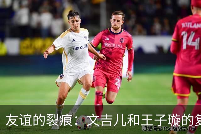 友谊的裂痕：文吉儿和王子璇的复杂关系掀起观众共鸣